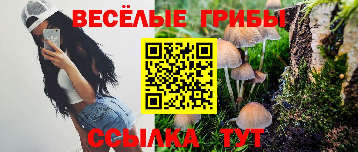 Псилоцибиновые грибы MAGIC MUSHROOMS Кинешма