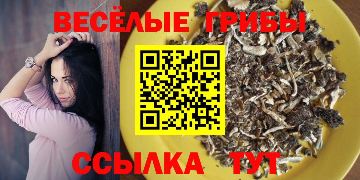 Псилоцибиновые грибы GOLDEN TEACHER  Псилоцибиновые грибы Psilocybine cubensis  Вход с VPN  Кинешма 