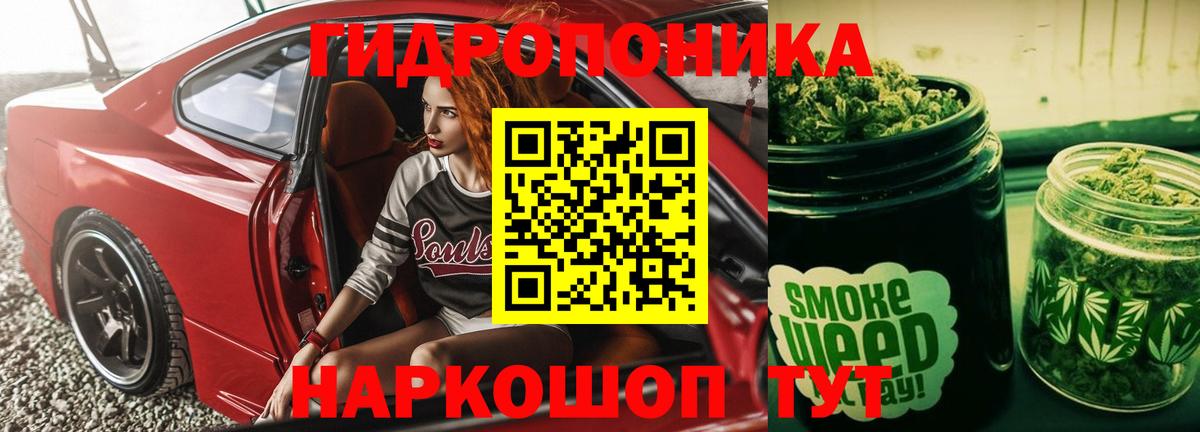 Конопля LSD WEED  Бошки марихуана Bruce Banner  Кинешма  Вход с VPN  Конопля семена  Шишки марихуана марихуана 